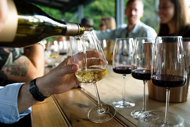 Cheese and wine tasting with local products