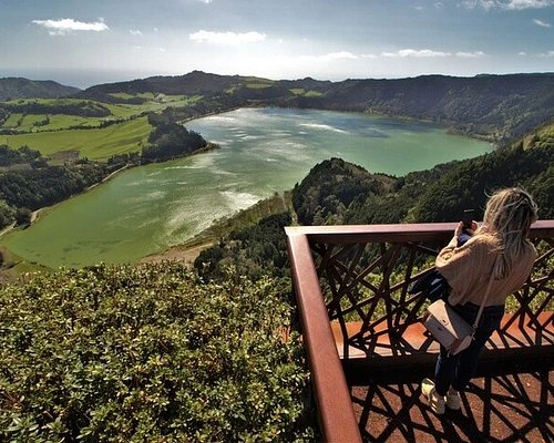 Gorreana tea plantation fields in São Miguel
