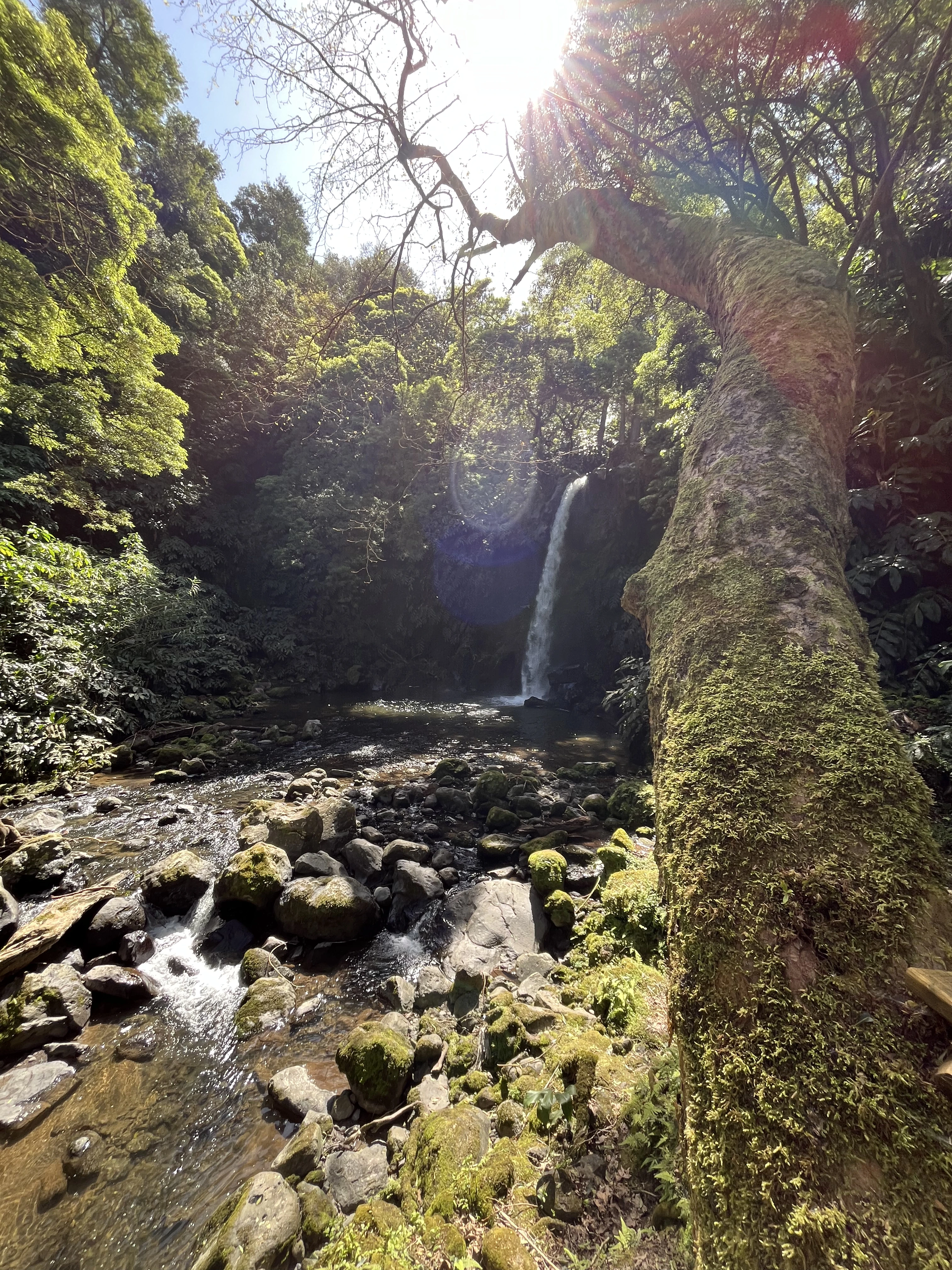 Ribeira dos Caldeirões Natural Park waterfall and lush greenery